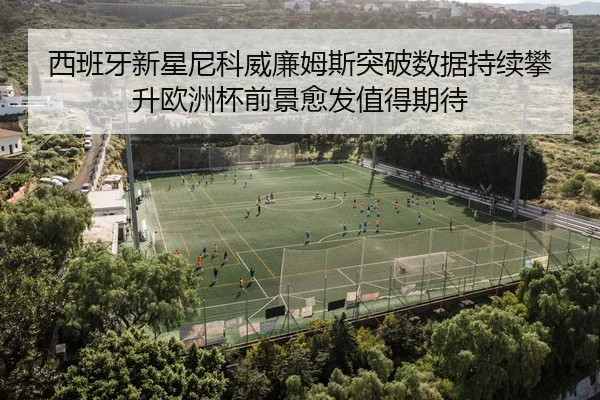 西班牙新星尼科威廉姆斯突破数据持续攀升欧洲杯前景愈发值得期待