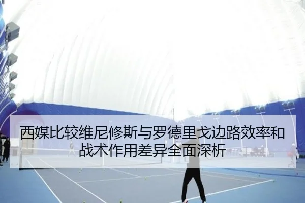 西媒比较维尼修斯与罗德里戈边路效率和战术作用差异全面深析